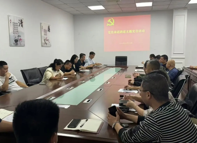 景德鎮(zhèn)長運(yùn)：開展黨員亮身份、承諾踐諾主題黨日活動(dòng)