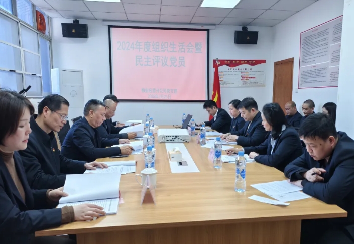 長運物業(yè)經(jīng)營分公司黨支部召開2024年度組織生活會暨民主評議黨員大會  李偉到會督導(dǎo)
